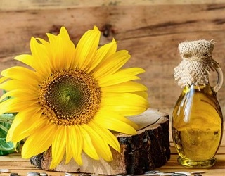 Експорт соняшникової олії з України досягне абсолютного максимуму